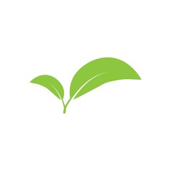 leaf logo