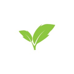 leaf logo
