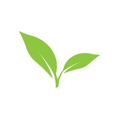 Obraz premium leaf logo