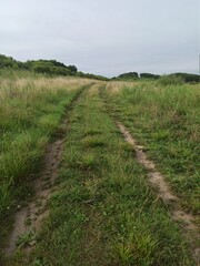 Obraz premium path in the field