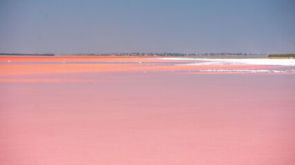 Pink salt lake