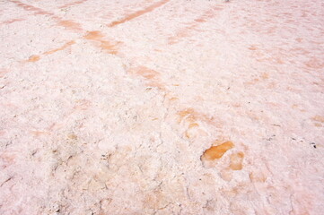 Cristallized salt of pink salt lake