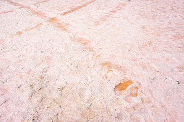 Fototapeta na wymiar Cristallized salt of pink salt lake