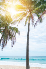 Fototapeta na wymiar tropical palms tree at summer beach with blue sky and sun light.
