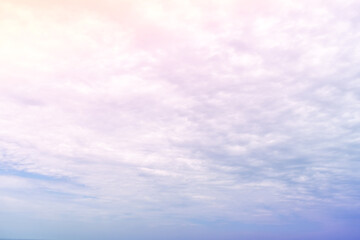 Magenta color of sunset twilight sky and cloud.
