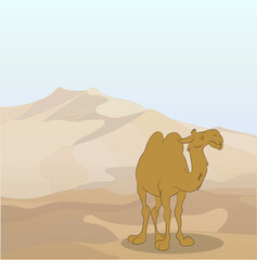 vector illustration of a camel that lies on nature