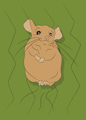vector illustration of a mouse on nature