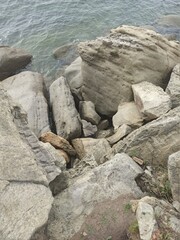 stones