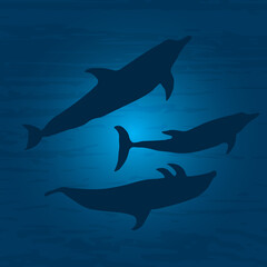 The underwater world with dolphins