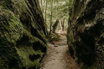 Large rocks in green moss