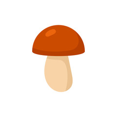 Boletus mushroom isolated on white background.