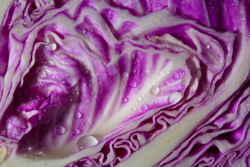 Fresh red cabbage cut with dew drops. Close up. It is an important element of vegetarianism, keto diet, paleo diet.