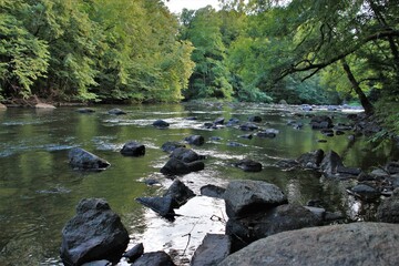 La rivière Vézère dans les gorges du Saillant (Corrèze)