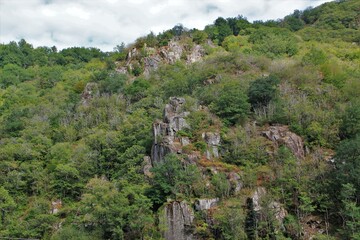 Fototapeta premium Paysage des gorges de la Vézère (Corrèze)