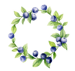 Watercolor illustration. Beautiful wreath of blueberries. For your design of postcards, invitations, prints. © Dasha