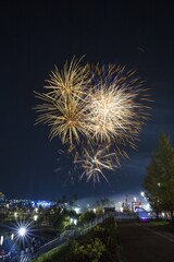 어두운 밤하늘 불꽃놀이