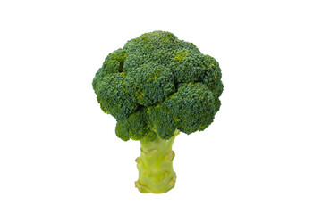 Fresh tasty broccoli isolated on white background.