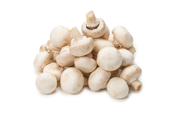 Champignon mushroom isolated on white background.
