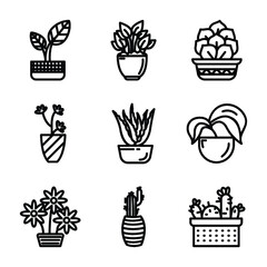 Set Of Potted Plants 