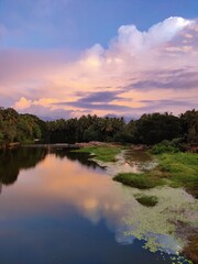 Obraz premium sunset over the river