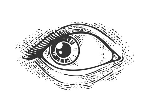 Woman eye sketch engraving vector illustration. T-shirt apparel print design. Scratch board imitation. Black and white hand drawn image.
