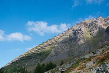Avalanche barriers on the slope of mountains above the Simplon pass in Switzerland