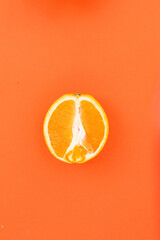 slice of orange fruit, monochrome image with empty space for text
