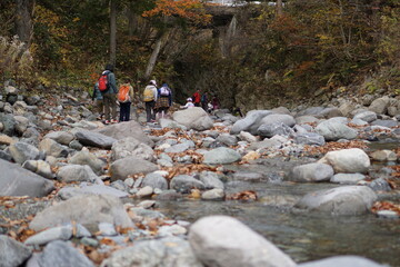 Autumn forest road leaves view. Autumn leaves ground. Autumn forest road landscape. Autumn leaves road view