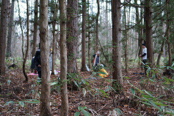 Autumn forest road leaves view. Autumn leaves ground. Autumn forest road landscape. Autumn leaves road view