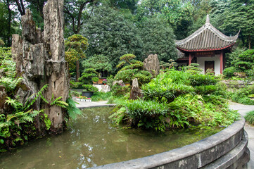 Fototapeta na wymiar Bonsai in Du Fu's garden in China