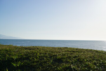 Grass near sea on sunny day with blue sky