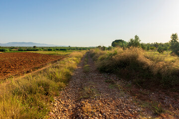 Fototapeta premium Sunrise along the Camino de Santiago and via Augusta de Castellon