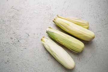 Top view of fresh sweet corn cob with copy space on concrete textured background