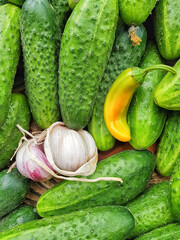 Fresh green cucumbers, garlic and chili pepper before pickling cucumbers.
