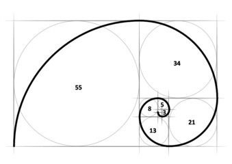 Leonardo da Vinci day. The golden ratio template spiral. Fibonacci number. Circles in golden proportion icon. Mathematics mat formula code. Drawing Physics, grid divine proportion. line pattern. Geome