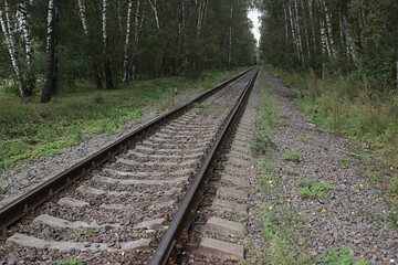 Fototapeta premium old railway line in the forest park