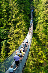 VANCOUVER, CANADA - AUGUST 11, 2017: Capilano Suspension Bridge is a fnamous tourist attraction