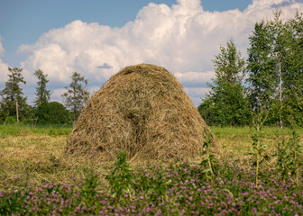 sunny summer landscape with haystacks, blurred foreground, beautiful clouds in the sky, summer