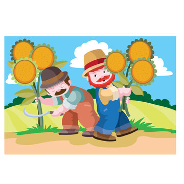 peasants in the field cut sunflowers with a sickle and harvest in large armfuls, cartoon illustration, vector,