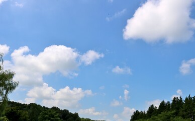 Fototapeta premium 夏 緑と青空 爽やか 風景 