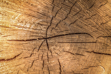 Log background close-up