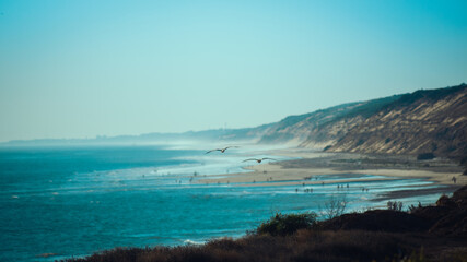Seagulls on Matalascañas beach
