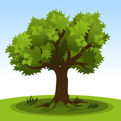 Obraz premium Summer tree with green leaves