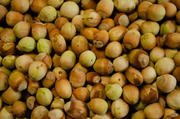 hazelnuts background, fresh nuts closeup