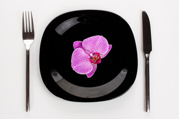 orchid phalaenopsis flower on a black plate on a white background