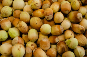 hazelnuts background, fresh nuts closeup