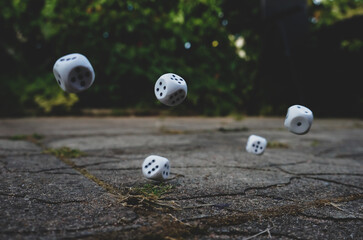 Let's play a dice game for money. Bones in the air