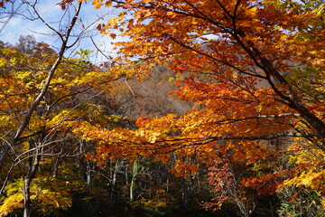 Beautiful autumn landscape in Northern Alps of Japan, Otari, Nagano.
