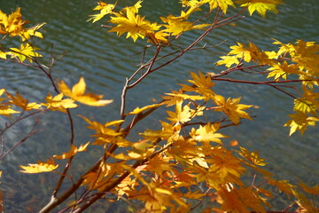Beautiful autumn landscape in Northern Alps of Japan, Otari, Nagano