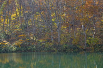 Beautiful autumn landscape in Northern Alps of Japan, Otari, Nagano